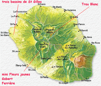 Trois Bassins de saint-Gilles, Mini Fleurs Jaunes, Gobert, Ferrière, Trou Blanc